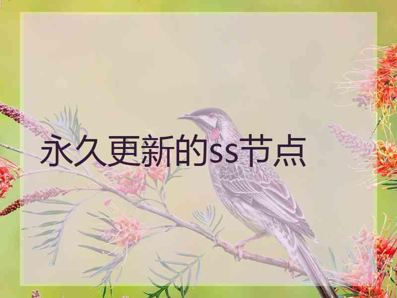 永久更新的ss节点 永久更新的ss节点
