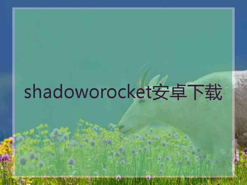 shadoworocket安卓下载 shadoworocket安卓下载