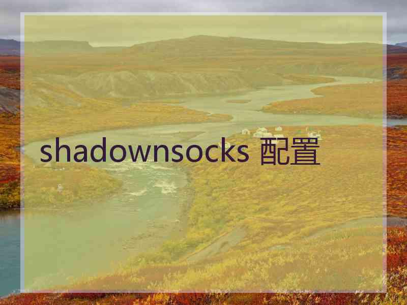 shadownsocks 配置