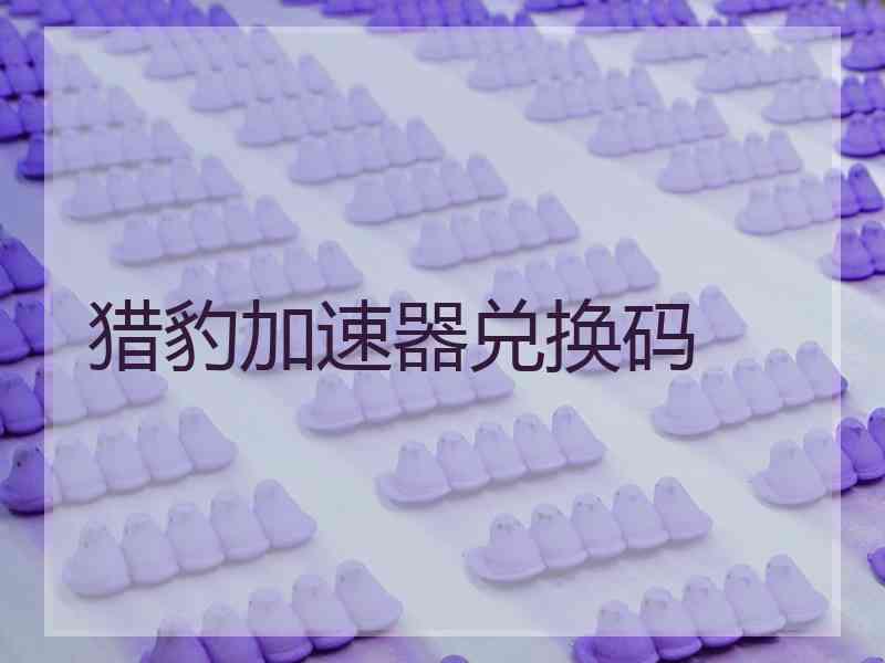 猎豹加速器兑换码 猎豹加速器兑换码