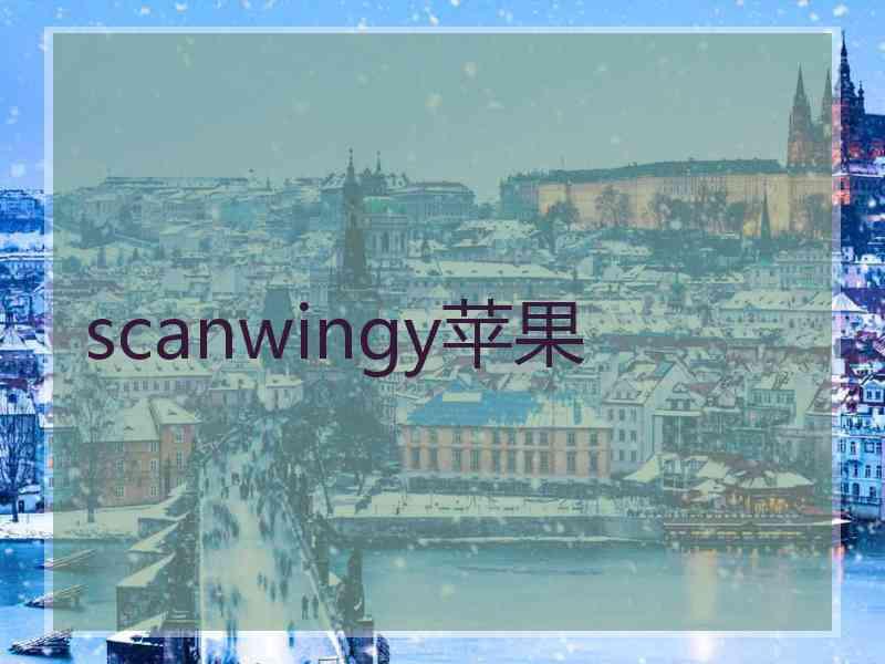 scanwingy苹果 scanwingy苹果