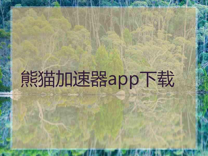 熊猫加速器app下载