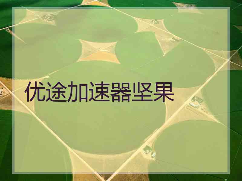 优途加速器坚果 优途加速器坚果