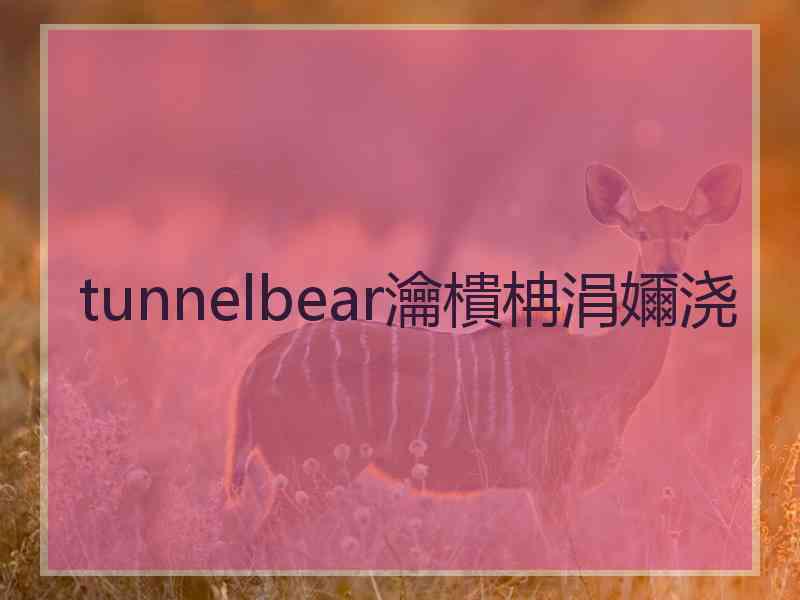 tunnelbear瀹樻柟涓嬭浇 tunnelbear瀹樻柟涓嬭浇