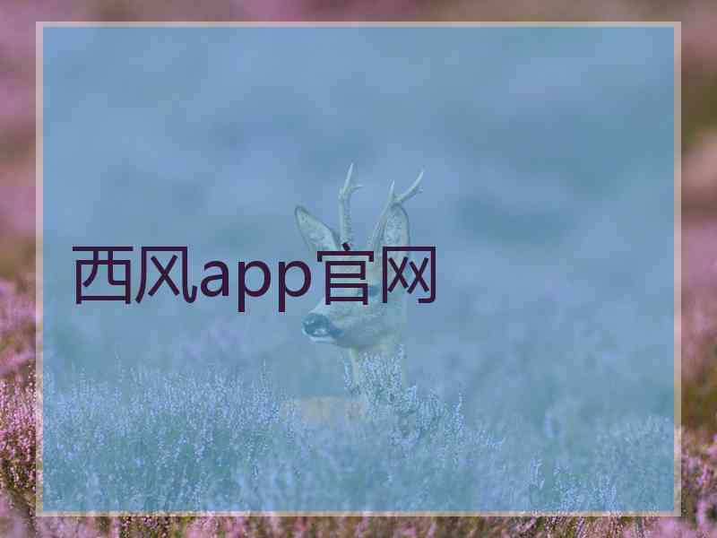 西风app官网 西风app官网