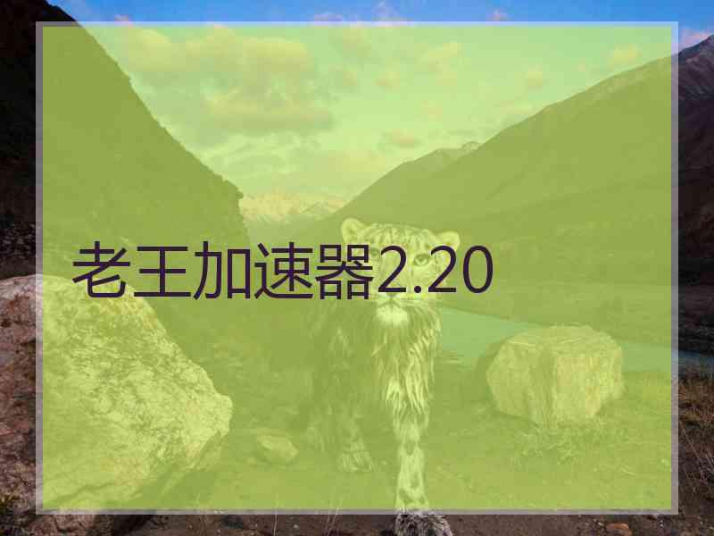 老王加速器2.20