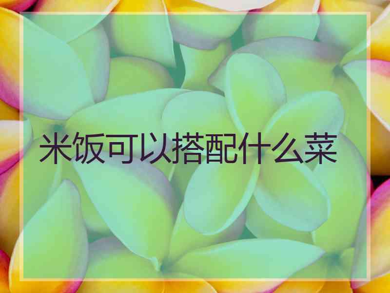 米饭可以搭配什么菜