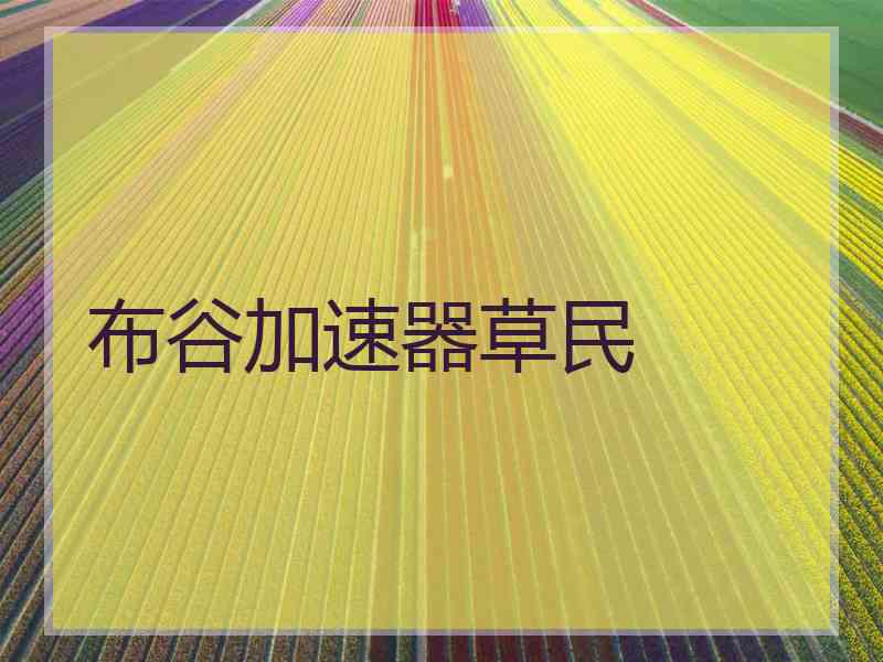 布谷加速器草民