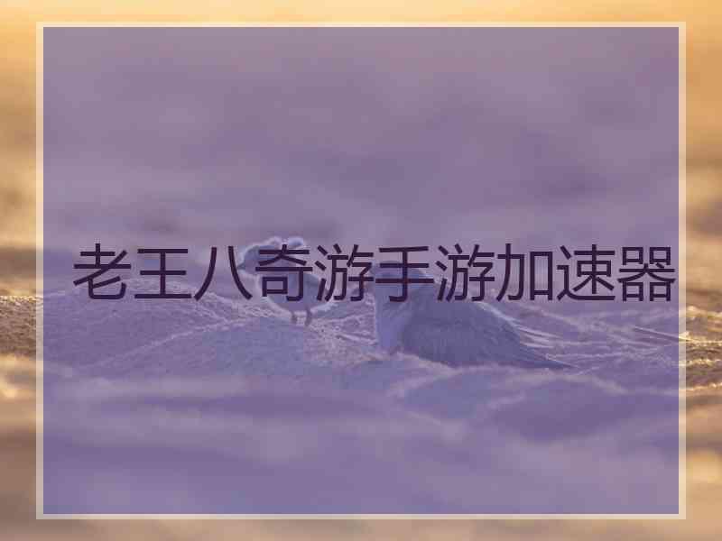 老王八奇游手游加速器