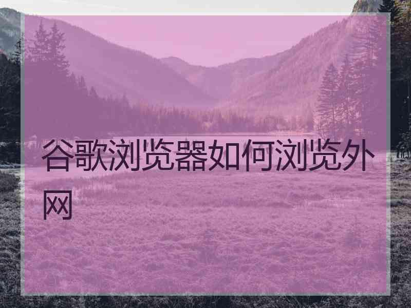 谷歌浏览器如何浏览外网