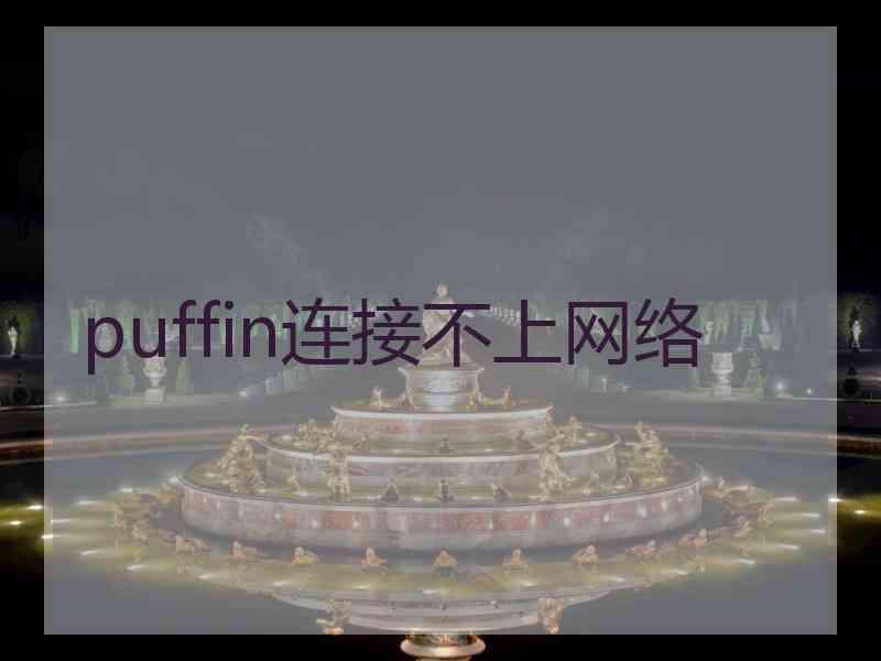 puffin连接不上网络
