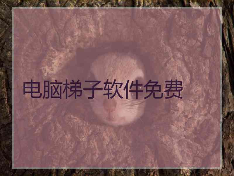 电脑梯子软件免费