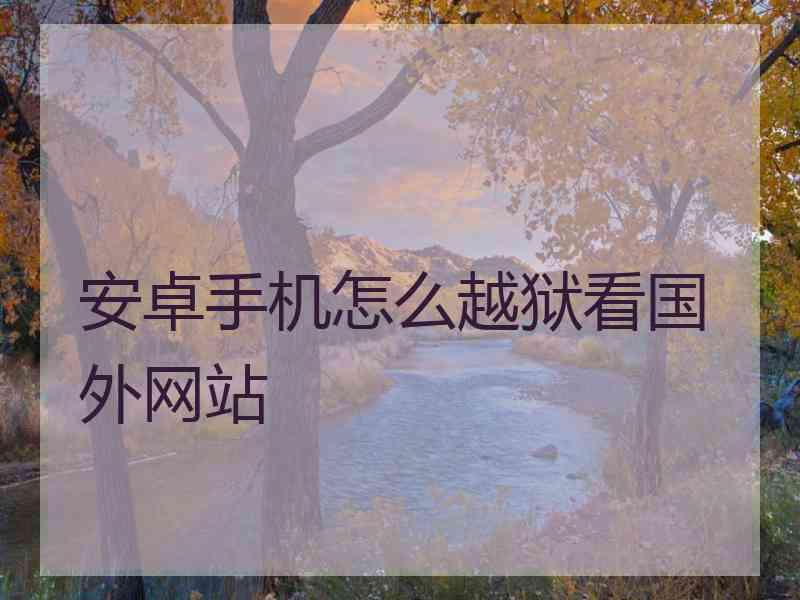 安卓手机怎么越狱看国外网站