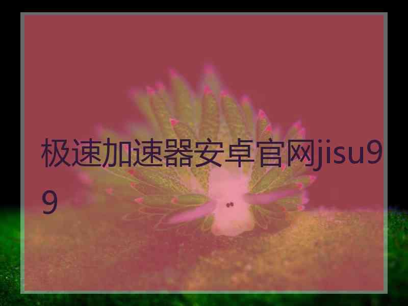 极速加速器安卓官网jisu99