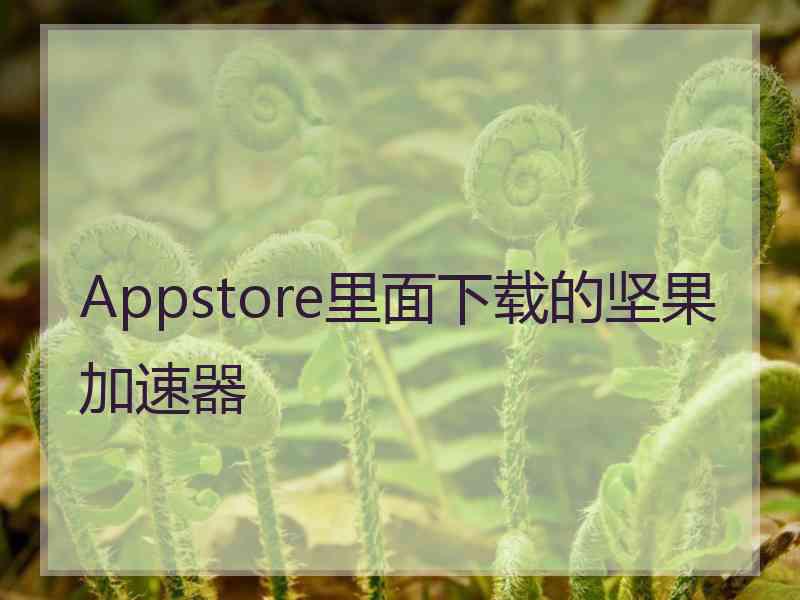 Appstore里面下载的坚果加速器