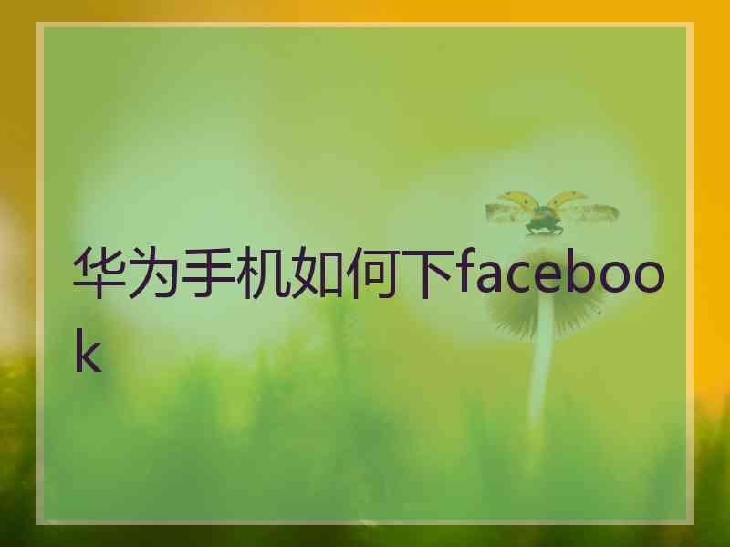 华为手机如何下facebook