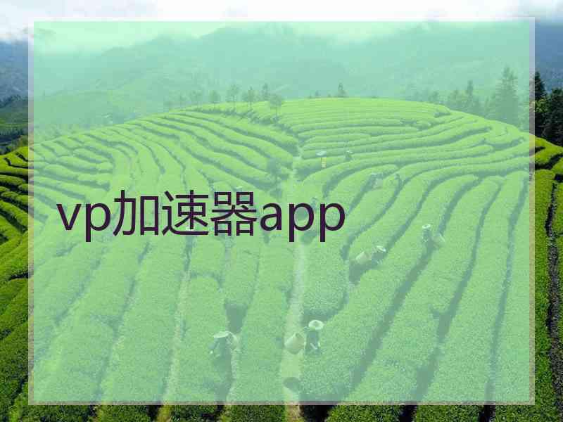 vp加速器app