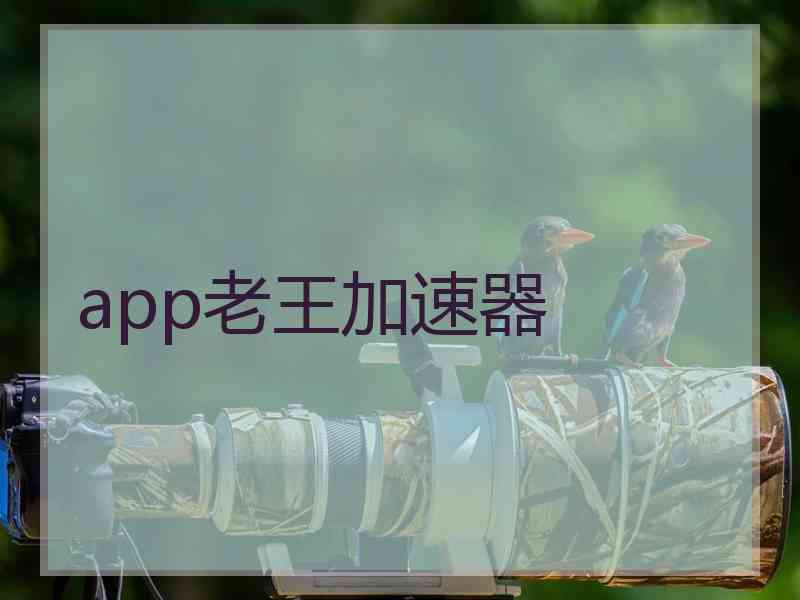 app老王加速器