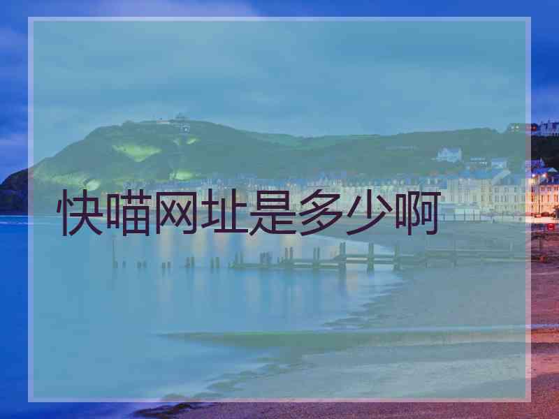 快喵网址是多少啊
