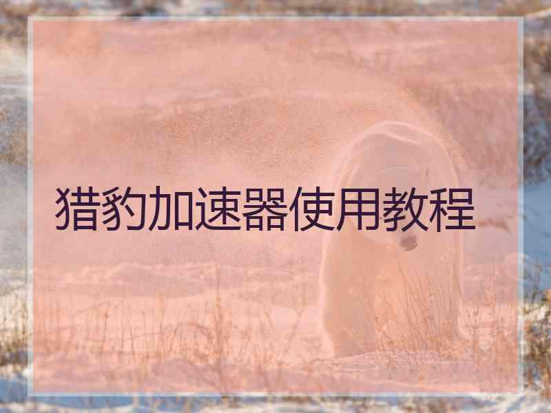 猎豹加速器使用教程