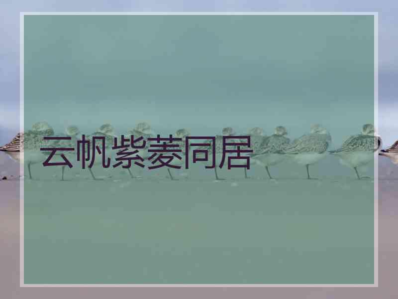 云帆紫菱同居