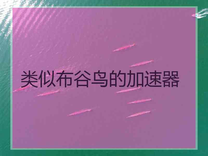 类似布谷鸟的加速器