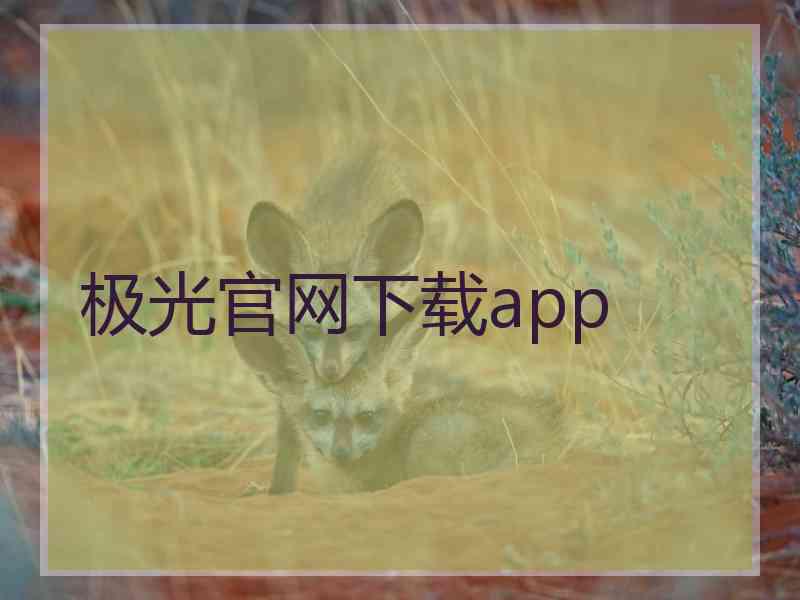 极光官网下载app