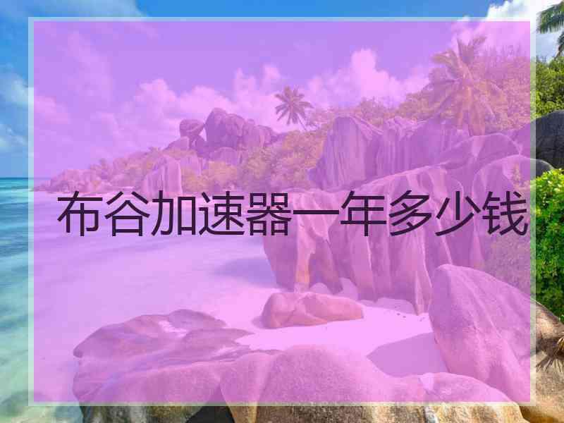 布谷加速器一年多少钱