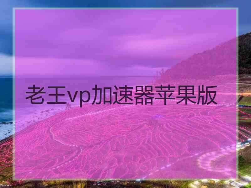 老王vp加速器苹果版