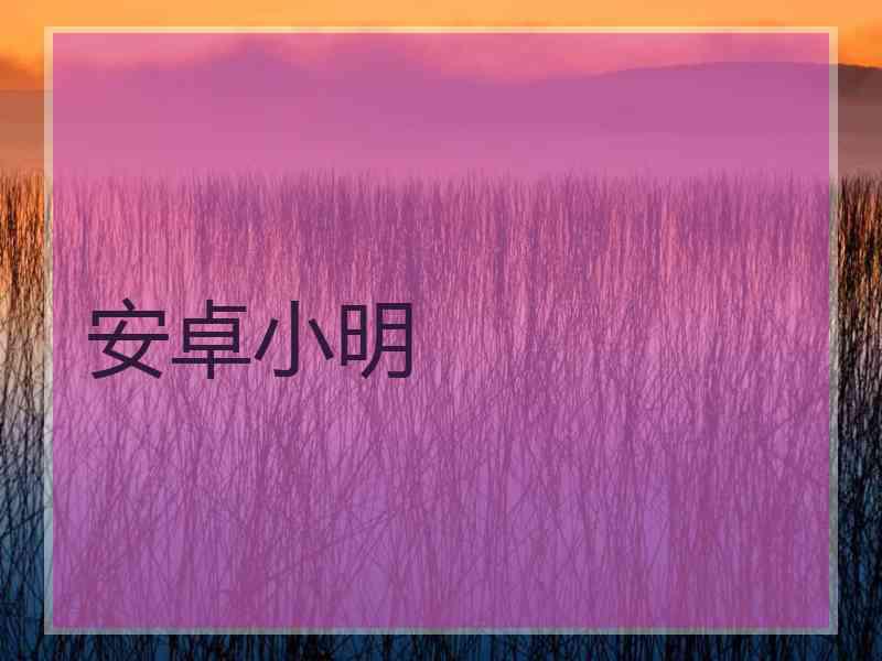 安卓小明