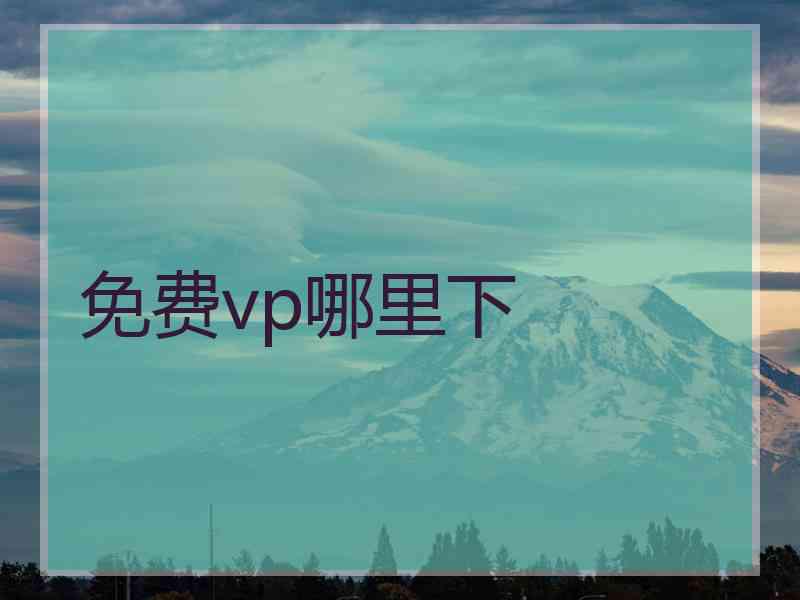 免费vp哪里下
