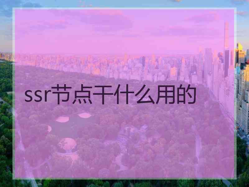 ssr节点干什么用的