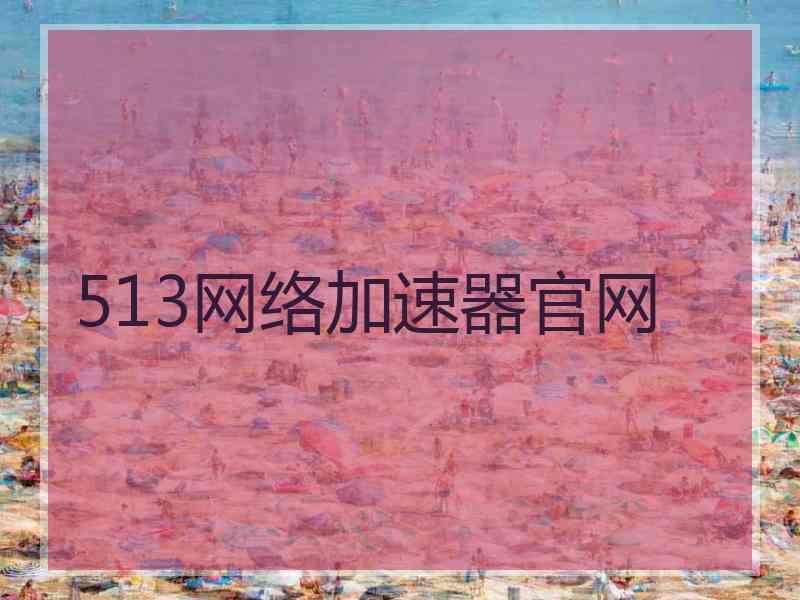 513网络加速器官网