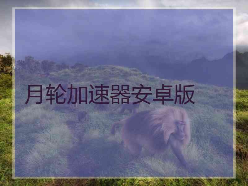 月轮加速器安卓版