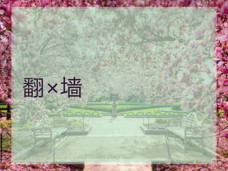 翻×墙