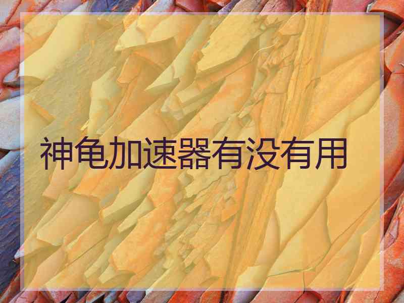 神龟加速器有没有用