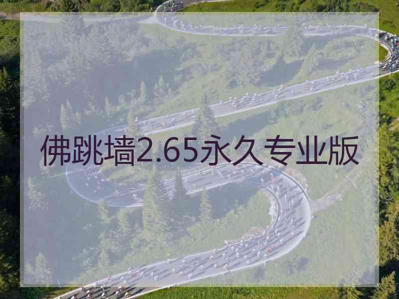 佛跳墙2.65永久专业版