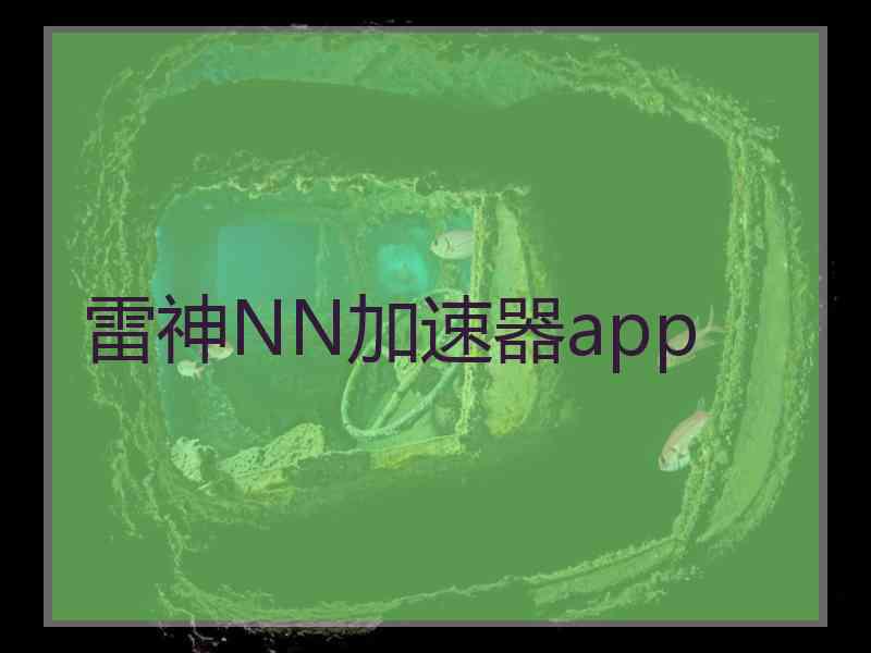 雷神NN加速器app