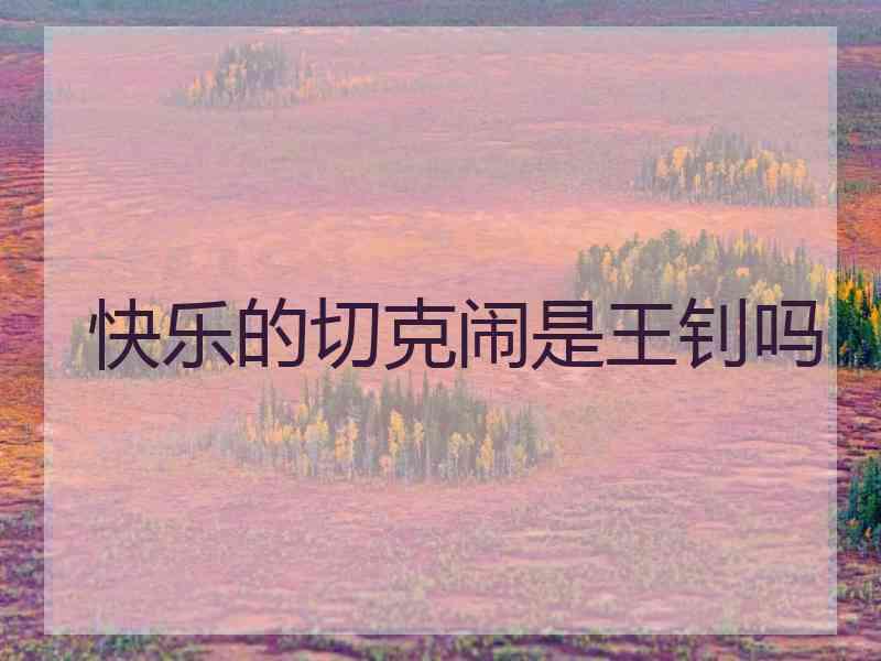 快乐的切克闹是王钊吗
