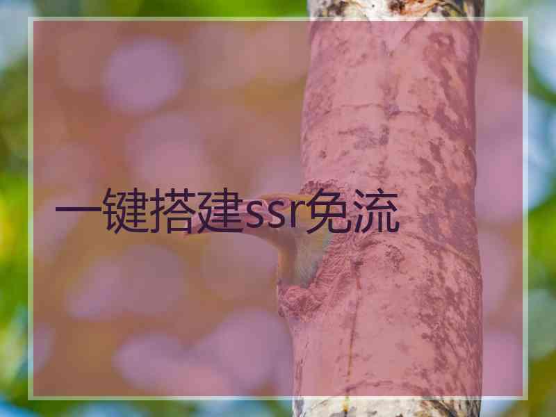 一键搭建ssr免流