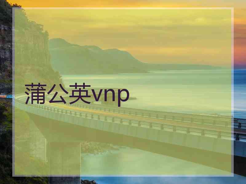 蒲公英vnp