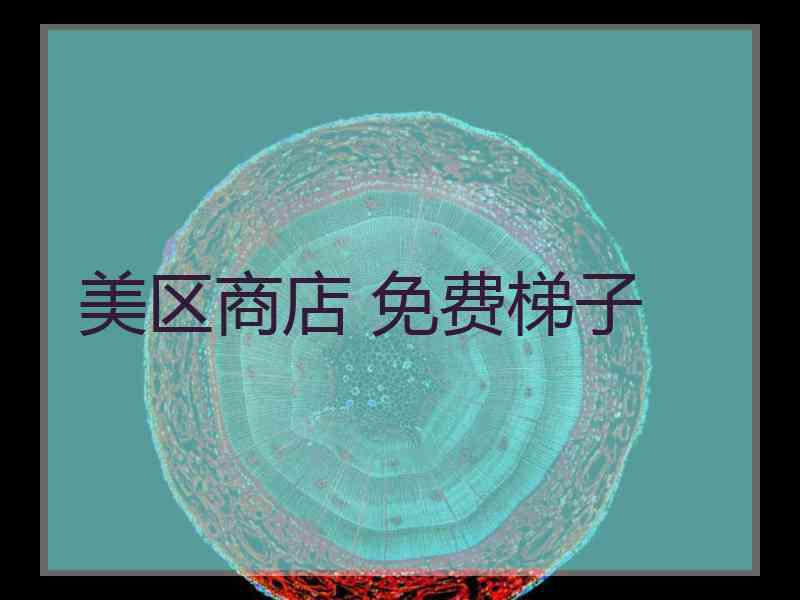 美区商店 免费梯子
