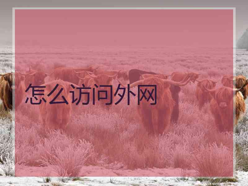 怎么访问外网
