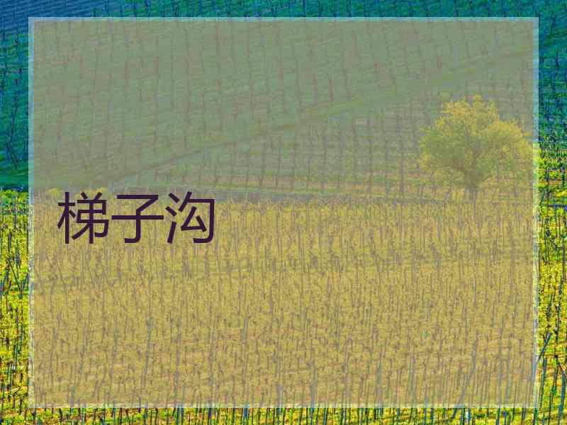 梯子沟