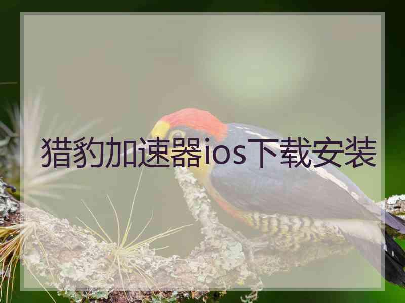 猎豹加速器ios下载安装