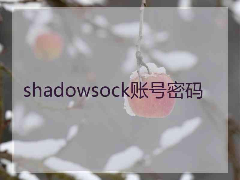 shadowsock账号密码