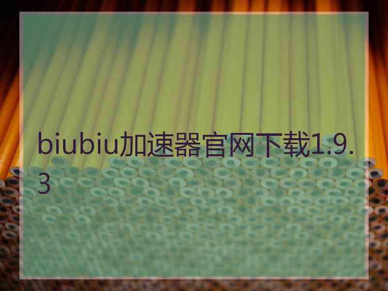 biubiu加速器官网下载1.9.3