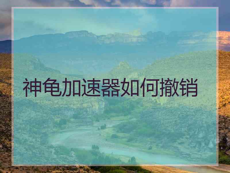 神龟加速器如何撤销