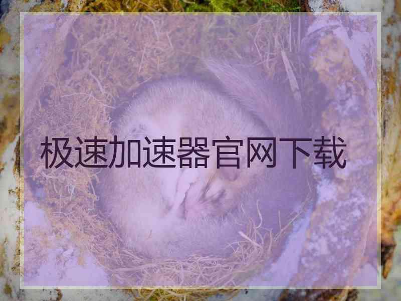 极速加速器官网下载