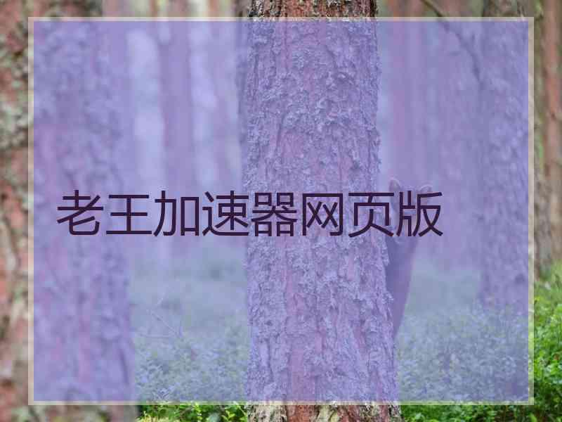 老王加速器网页版